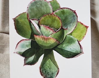 Succulent Watercolor Giclée Print: Detailed Botanical Wall Art