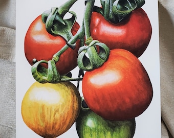 Tomatoes on the Vine Watercolor Giclee Art Print: Botanical Kitchen Decor (8 x 10)