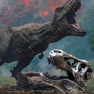T Rex schedel 1.8ozt+- .999 fijn zilver