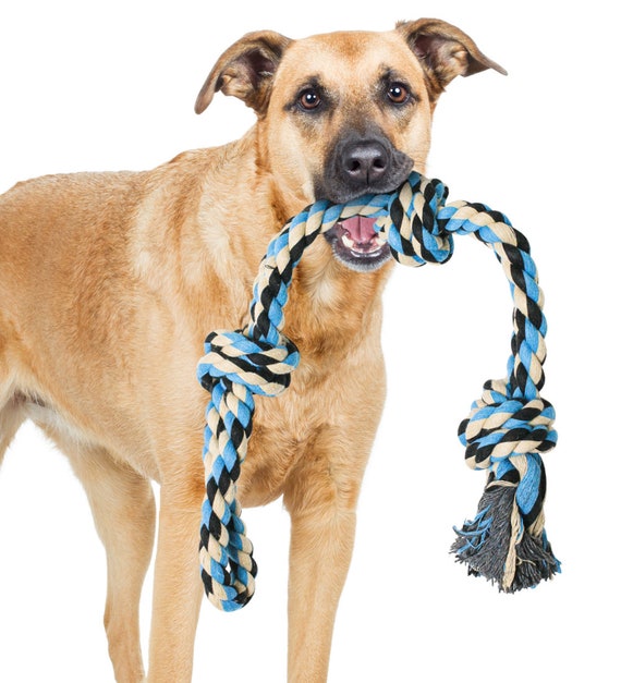 Tough hot sale dog rope