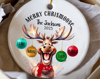 Funny Family Christmas Ornament 2026 Personalized Gifts-Custom Christmas Moose Decor for Tree