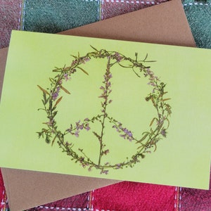 eco friendly greeting card sleeves Clear & Envelope  Clubcard Printing Canada and crafts Compostable Bags & Sleeves for