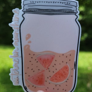 Watermelon Moonshine| Lainey Wilson | Country Music | Mason Jar | Sticker | Vinyl Decal | Water Bottle | Laptop | Waterproof |Weatherproof