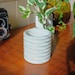 see more listings in the Plant Pots section