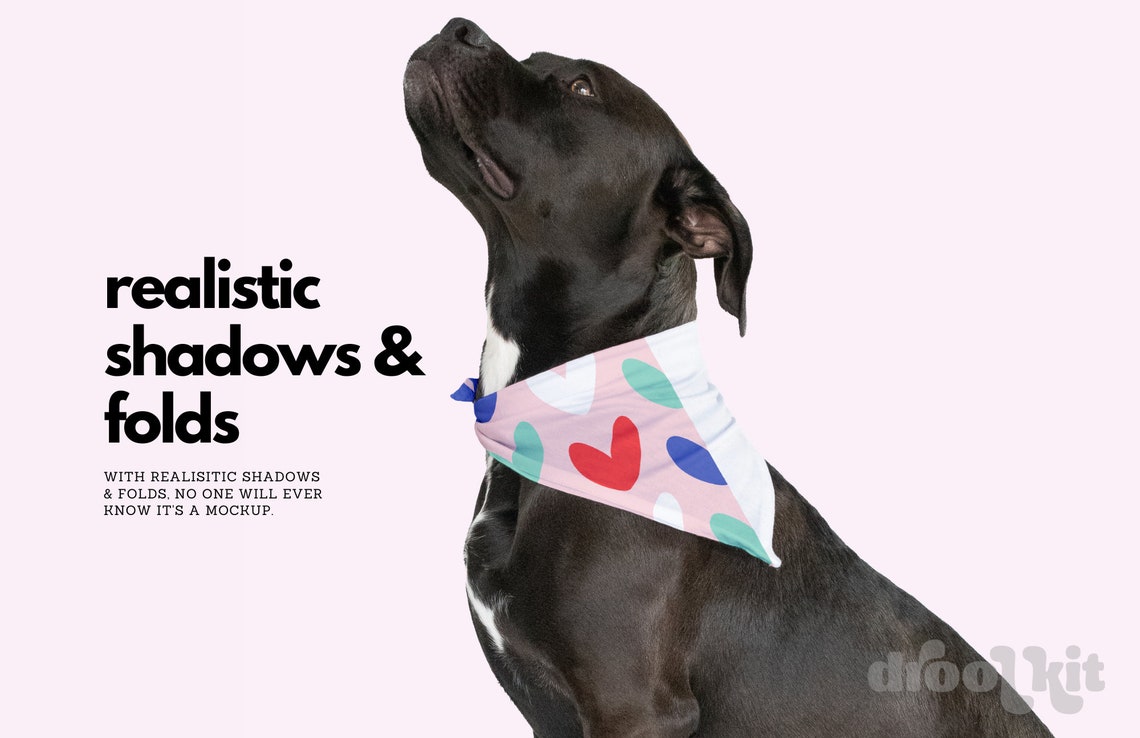 Dog Bandana Mockup Pitbull Mockup Dog Mockup Pet Bandana Mockup