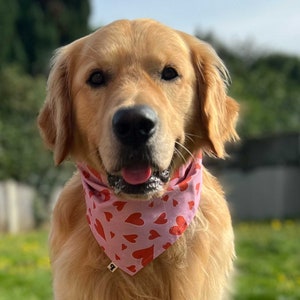 Sweetheart | Pink Heart Dog Bandana | Cat Bandana | Valentine Tie Snap Bandana