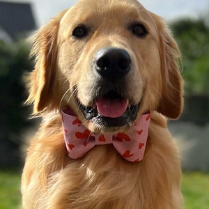 Sweetheart | Pink Heart Bow Tie | Cat Bow Tie | Cute Valentine Bow Tie | Puppy Accessories