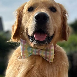 Pastel Plaid | Rabbit Dog Bow Tie | Cat Bow Tie | Cute Spring Summer Easter Bow Tie | Puppy Accessories