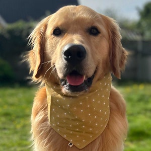 Golden Sunburst | Yellow Sun Dog Bandana | Cat Bandana | Sunshine Tie Snap Bandana