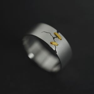 May include: A silver ring with a crack design and three gold accents.