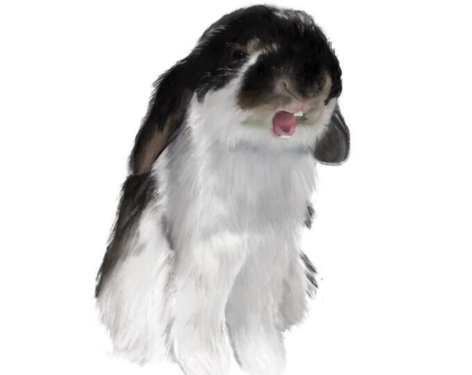 Yawning Rabbit Png This item is unavailable - Etsy