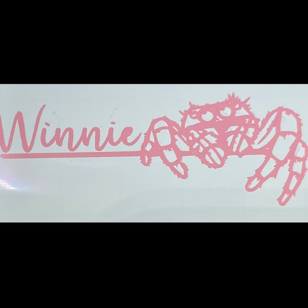 TRACKED* Custom Vinyl Jumping Spider Name Decal *Custom Name + Color + Font*