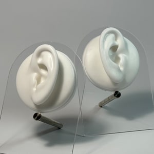 HQ Silicone Ears Model, Ears Displays for Jewellery and Acupuncture, Silicone ears for DIY