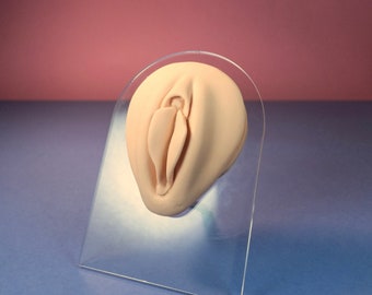 HQ Silicone female genitals,Displays for Jewellery and Acupuncture, Silicone female genitals for DIY, Live female genitals model