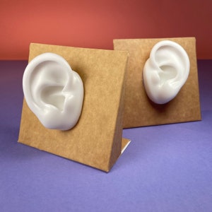 HQ Silicone Ears ,Ears Displays for Jewellery and Acupuncture, Silicone ears for DIY, WHITE