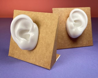 HQ Silicone Ears ,Ears Displays for Jewellery and Acupuncture, Silicone ears for DIY, WHITE