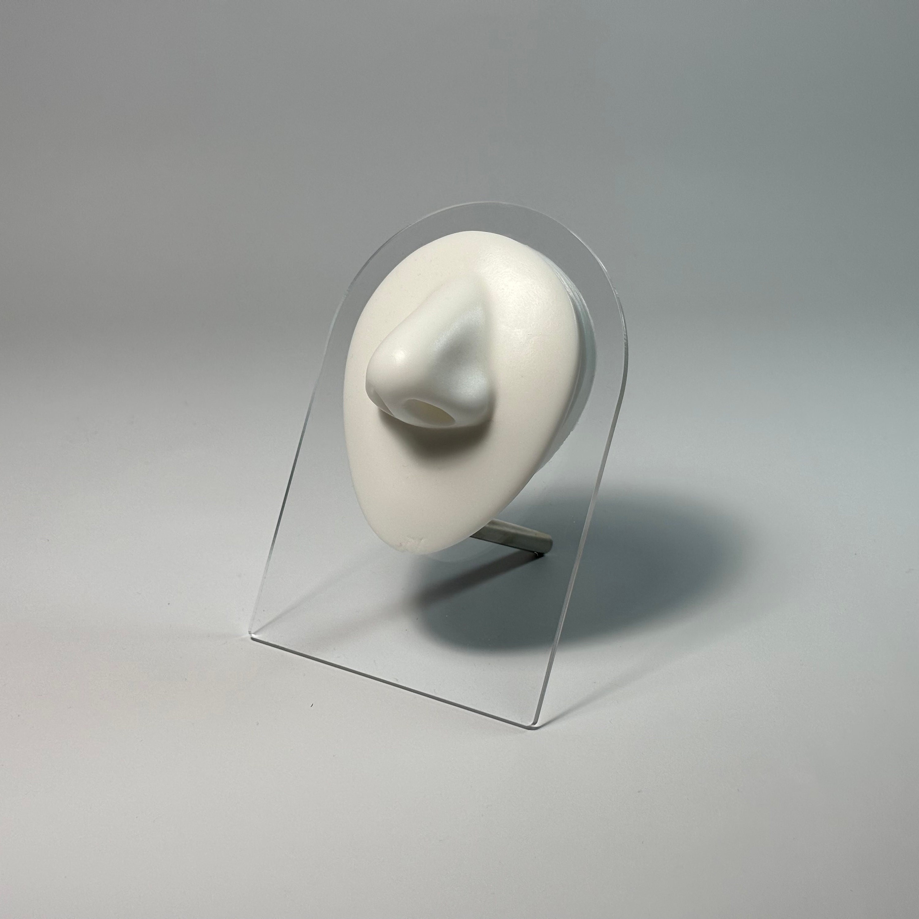 HQ Silicone Nose, Nose Displays for Piercing, Jewellery, and Acupuncture, Silicone nose for DIY, Live nose model
