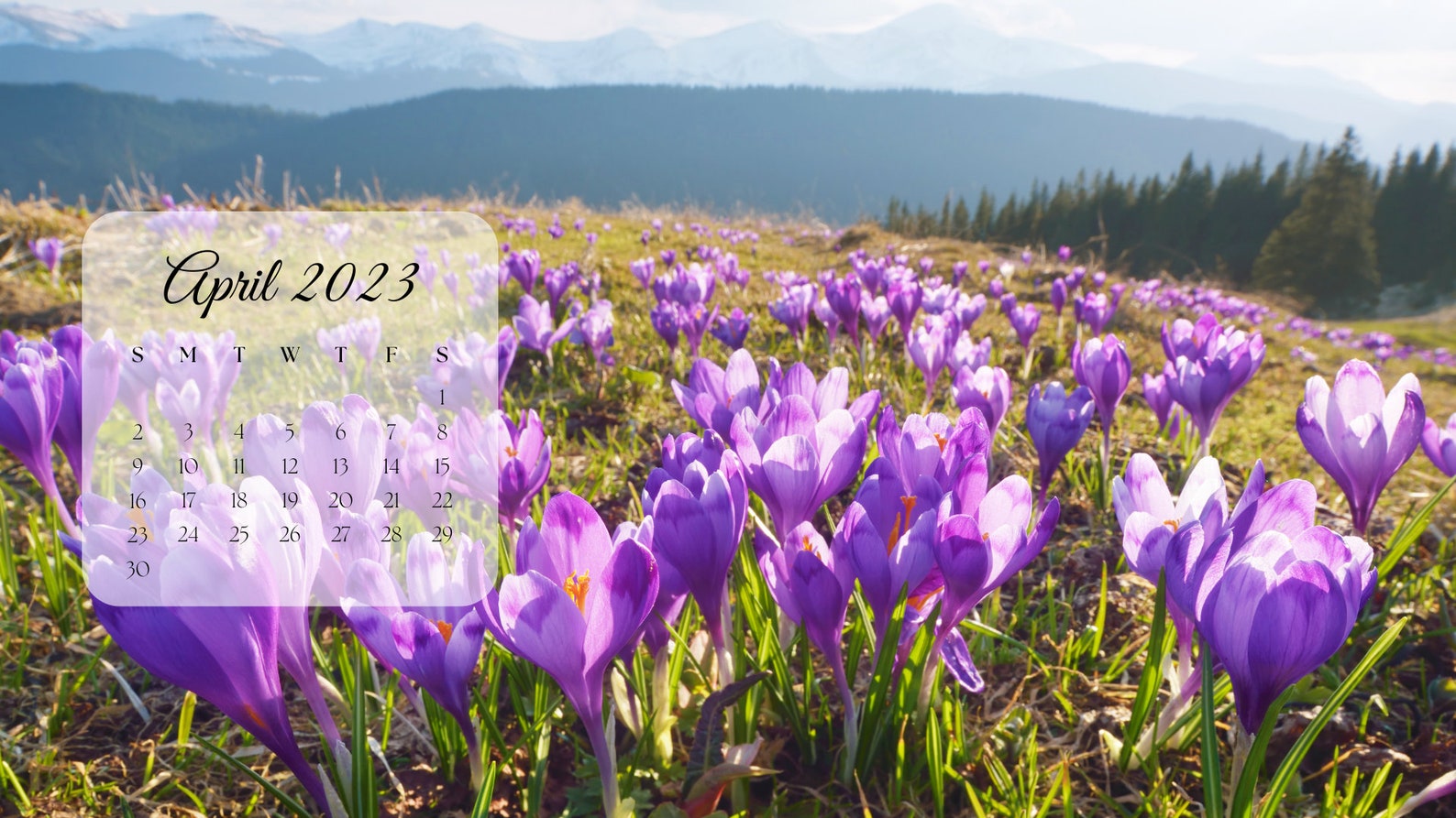 Desktop Wallpaper Calendar 2022&2023 Laptop Wallpaper Etsy