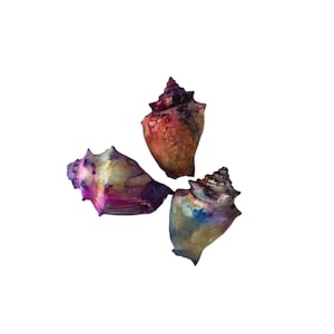 May include: Three seashells with a colorful, iridescent finish. The shells are a mix of purple, pink, blue, and gold.