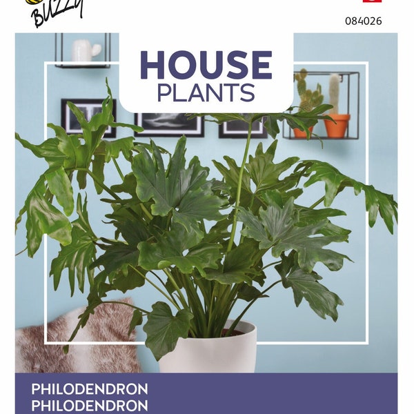 Buzzy House Plants Philodendron Selluom 20 Semillas