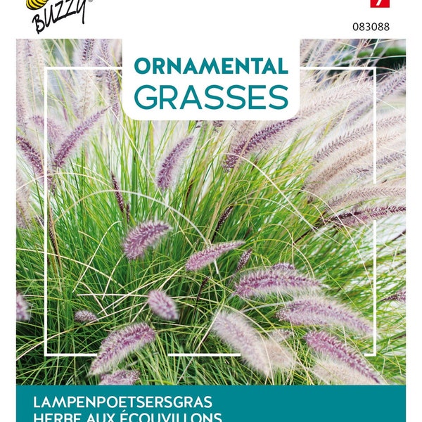 Buzzy Ornamental Grasses, Fountain Grass, 0.1 grammes