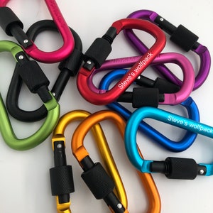 Personalized Carabiner Key Chain carabiner clip key ring keychain with lock gifts for men dad boyfriend