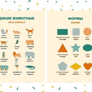 May include: A colorful educational chart with illustrations of wild animals and geometric shapes. The chart features the English and Russian names for each animal and shape.