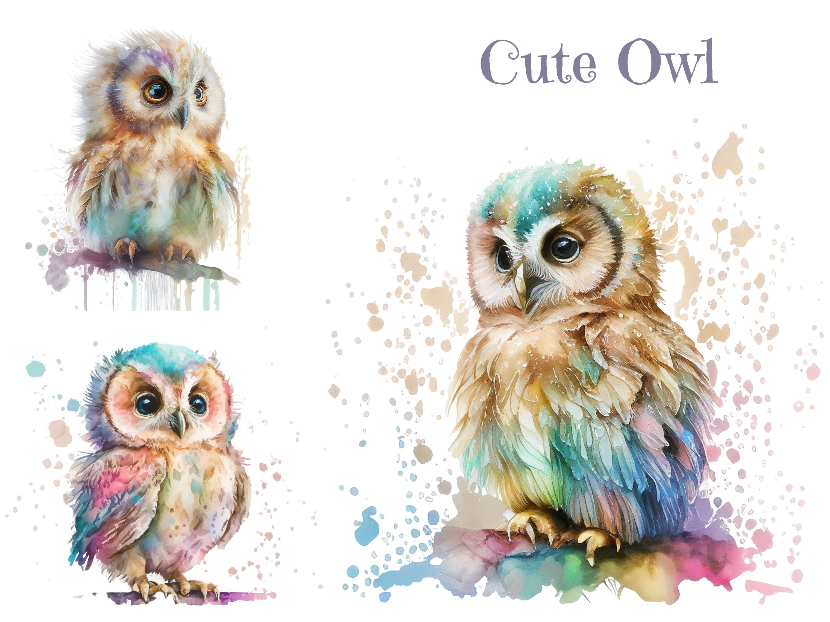 Watercolor Clipart Cute Owl, Owl Illustration, Commercial PNG and JPG ...
