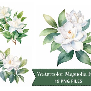 Clipart ad acquerello Fiore di magnolia, Illustrazione di design, PNG commerciale, Download digitale, pianificatore, diario, stampabile, invito a nozze