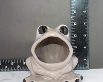 Frog scrubby holder/planter