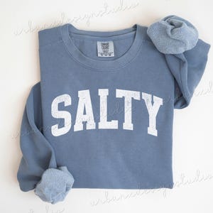 Cute Salty Sweatshirt, Salty Hoodie, Cute Beach Sweatshirt, Cute Beach Hoodie, Cute Summer Sweatshirt, Cute Summer Hoodie, Beachy Sweatshirt