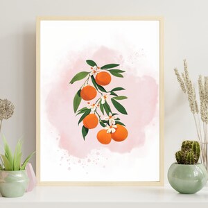 Orange Clementine Citrus Fruit Pink Digital Art - Kitchen Decor Print