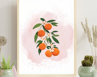 Orange Clementine Citrus Fruit Pink Digital Art - Kitchen Decor Print