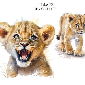 Clipart de animais de safári, leão bebê em aquarela, animais africanos em aquarela, pacote de animais de bebê safari, berçário de leões para impressão