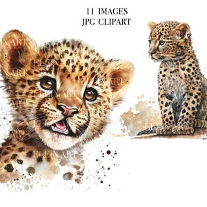 Watercolor Cheetah Clipart, Safari Animals Clipart, Watercolor African Animal, Baby Cheetah Watercolor, Cheetah Nursery Print