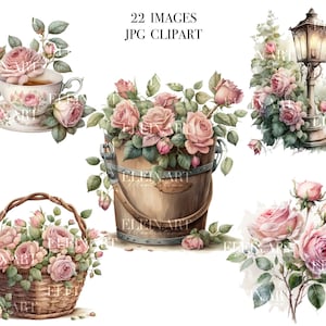 Puede incluir: Un conjunto de 22 imágenes digitales que presentan rosas rosadas en varios arreglos. Las imágenes incluyen rosas en una taza de té, un cubo, una cesta y un ramo. También hay una imagen de una farola vintage con rosas creciendo a su alrededor.