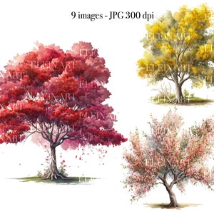 Spring Tree Clipart, Cherry Blossom Tree, Tree Watercolor Clipart, Tree Clipart, Forest Clipart Art, Tree Watercolor Print