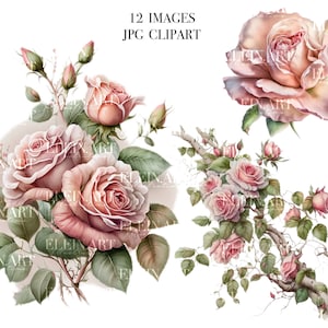 Watercolor Roses Clipart, Watercolor Pink Roses Flower, Floral Wreath Clipart, Pink Flowers Clipart, Watercolor Flowers Clipart