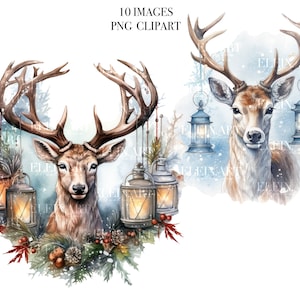 Christmas Clipart Watercolor, Holiday Clipart, Deer Clipart, Deer Watercolor, Christmas Deer Clipart, Christmas Animals Clipart, Deer PNG