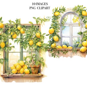 Lemon Clipart, Window Clipart, Watercolor Window, Garden Clipart, Lemonade Clipart, Flowers Window Watercolor Clipart, Lemon Tree Clipart