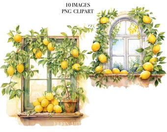 Clipart cytrynowy, Clipart okienny, Akwarele okienne, Clipart ogrodowy, Clipart lemoniadowy, Clipart akwarelowy kwiatów okiennych, Clipart cytrynowego drzewa