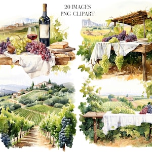 Italien Clipart, Weinberg Landschaft, Aquarell Trauben Clipart, Wein Clipart, Weinberg Clipart, Weinberg PNG, Italien digitale Kunst, Traube PNG