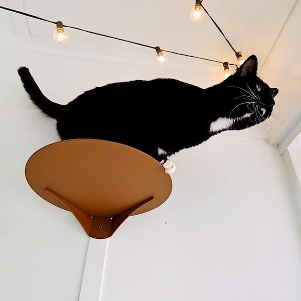 Large Circle Cat Perch, Pet Wall Furniture, Pet Steps, Cat Perch