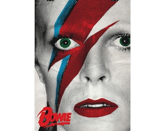David Bowie Ziggy Stardust - Music poster