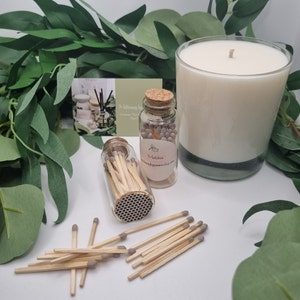 Matchstick Apothecary Jar with Match Striker