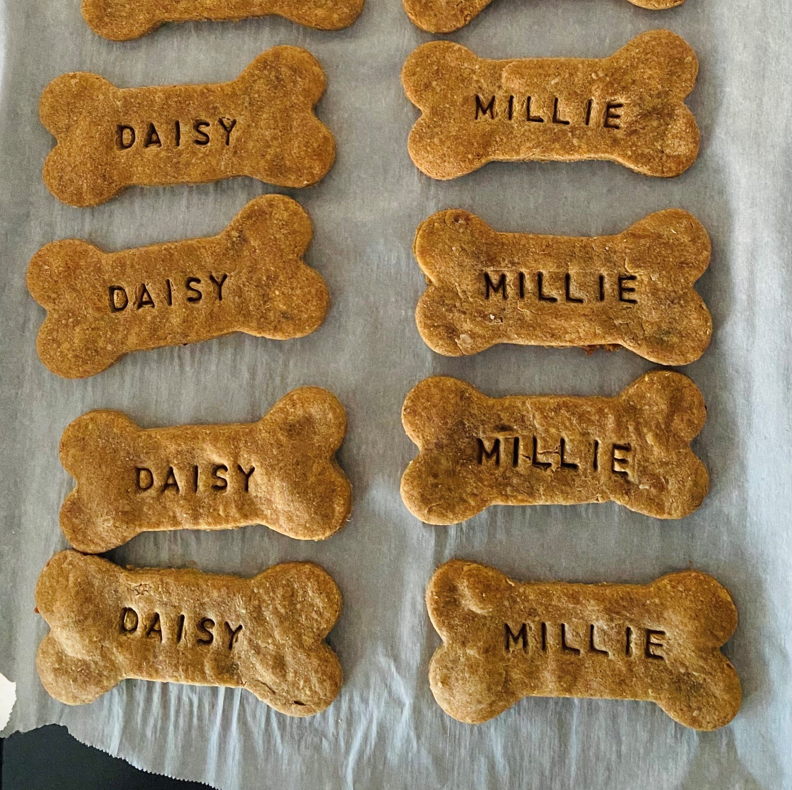 Selling dog treats on etsy cheap