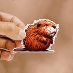 Beaver Stickers