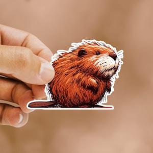 May include: A cartoon illustration of a brown and orange beaver with a white belly, sitting on its haunches and looking up.