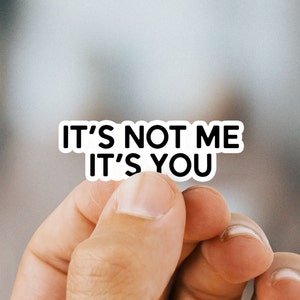 It's not me it's you quote Sticker, Funny Meme Decal, Waterproof Vinyl Sticker for laptop, car, and Hydroflask