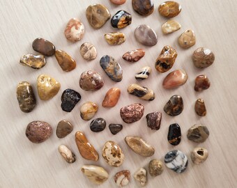 49 Pcs Tiny River Rocks Hand Polished - Natural Tiny pebble - River Stones - Mixed Colored Aquarium Terrarium Stones